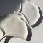 1pc Concrete Ginkgo Leaf Tray Silicone Mold